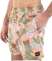 Hurley Men's Cannonball Volley 17" Board Shorts