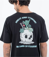 Everyday Oasis Of Pleasure Short Sleeve Tee