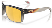 Oakley Holbrook - Troy Lee designs black fade