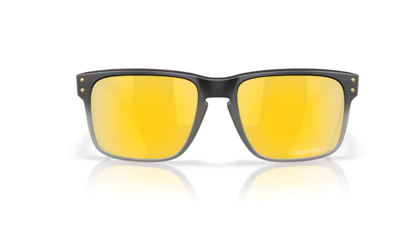 Oakley Holbrook - Troy Lee designs black fade