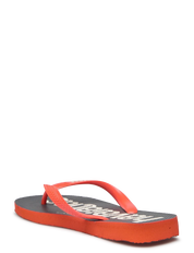 Havaianas Top Logomania 2
