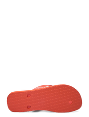 Havaianas Top Logomania 2