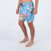 Boardshort HURLEY Phantom Block Party RNGD 18