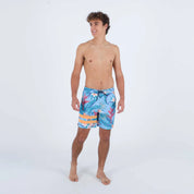 Boardshort HURLEY Phantom Block Party RNGD 18