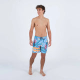 Boardshort HURLEY Phantom Block Party RNGD 18