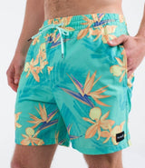 Boardshort Hurley Cannonball Volley 17"