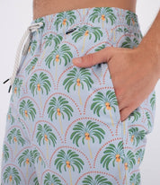 Boardshorts HURLEY - M VOLLEY ICON PRINTING PRESS PALM AUBURN